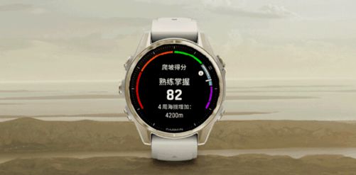 11狂欢记录你的每一次精彩突破！凯发K8国际版佳明智能运动手表双(图3)